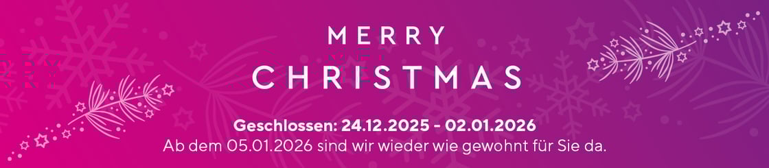 02_Newsletter_Banner_1366x300px_2025_Weihnachten