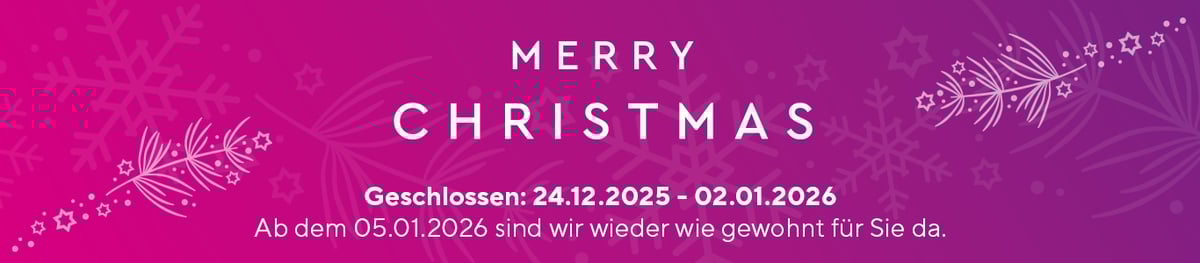02_Newsletter_Banner_1366x300px_2025_Weihnachten