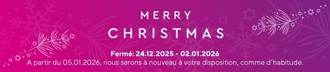 02_Newsletter_Banner_1366x300px_2025_Weihnachten_FR