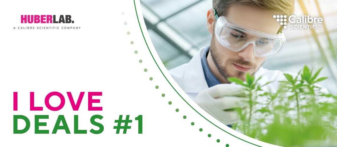 Newsletter_Titelbild_1366x600px_2026_I_Love_Deals_1