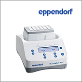 ILD_1_24_Eppendorf
