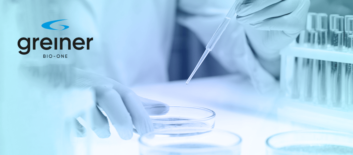 01_Newsletter_Titel_GBO_1366x600px_2024_DE