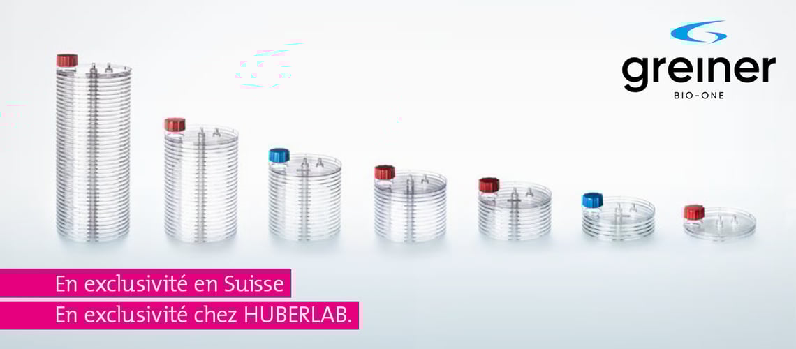 01_Newsletter_Titel_1366x600px_2024_Greiner_FR